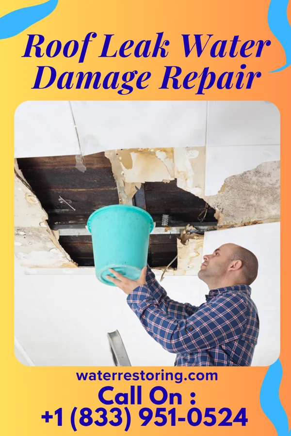 Roof Leak Water Damage Repair in Shoreview, MN